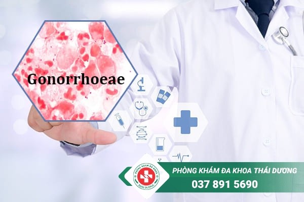 Bệnh lậu cầu do loại xoắn khuẩn Neisseria Gonorrhoeae gây ra