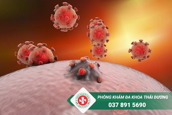 Bệnh sùi mào gà bên trong hậu môn do virus HPV gây nên