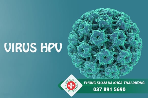 Bệnh sùi mào gà hình thành và khởi phát là do virus HPV gây nên