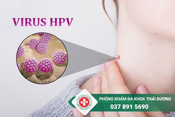 Phụ nữ mang thai bị nhiễm HPV chủ yếu là do quan hệ tình dục không an toàn