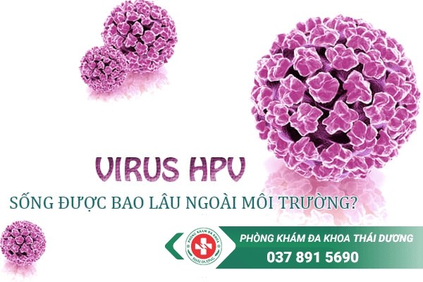 Virus HPV sẽ nhanh chóng chết đi khi ở ngoài môi trường không khí