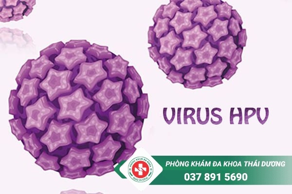 Virus HPV thường xâm nhập và gây mọc mụn sùi ở cơ quan sinh dục, miệng, mắt
