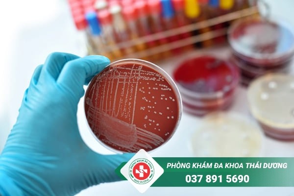 Xét nghiệm PCR lậu cho kết quả nhanh và độ chuẩn xác cao
