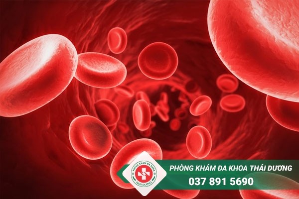 Số lượng tiểu cầu cũng là một chỉ số quan trọng trong xét nghiệm công thức máu