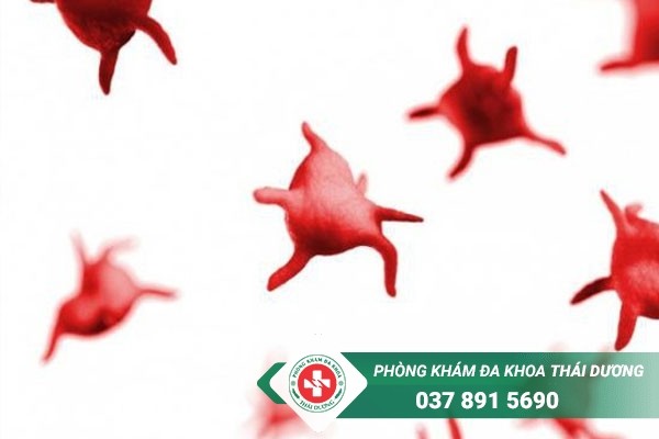 Số lượng hồng cầu là một trong những chỉ số xét nghiệm công thức máu đáng quan tâm