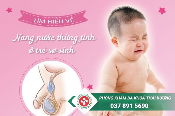 Bệnh nang nước thừng tinh ở trẻ sơ sinh xảy ra khá phổ biến