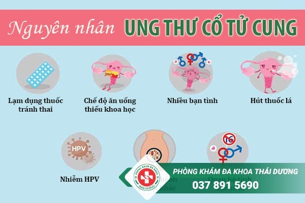 Nguyên nhân gây ung thư cổ tử cung chính là loại virus HPV