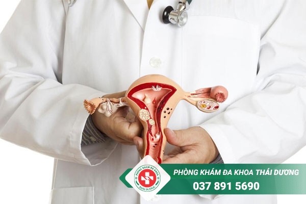U xơ tử cung là bệnh phụ khoa thường gặp ở chị em trong độ tuổi sinh sản