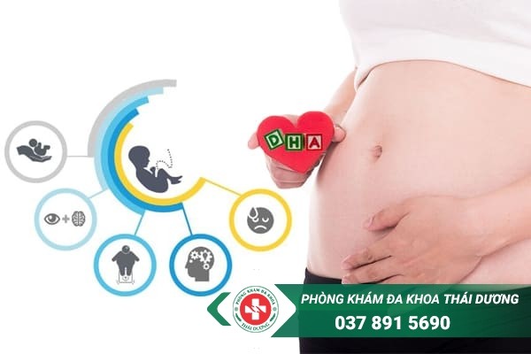 DHA là dưỡng chất rất cần thiết và quan trọng đối với thai nhi