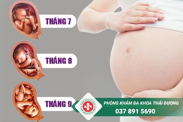 Tìm hiểu từ A đến Z quá trình hình thành thai nhi trong bụng mẹ