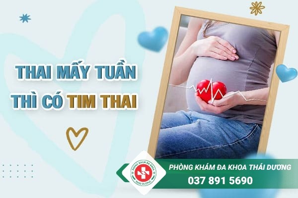 Thai mấy tuần tuổi thì có tim thai? Mẹ bầu cần hiểu rõ và lưu ý