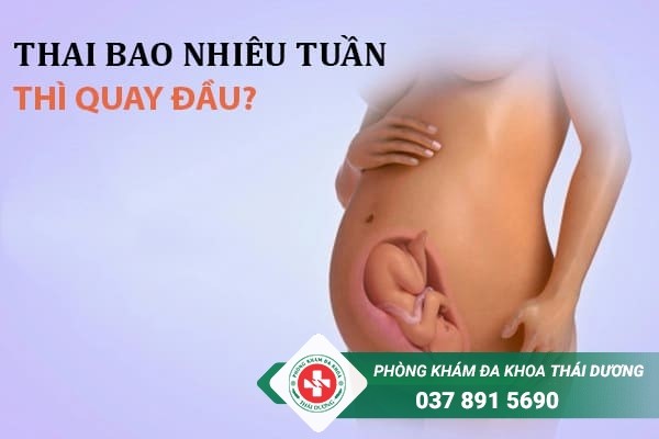Thông thường từ tuần thai thứ 32 đến 36 là thai nhi bắt đầu quay đầu