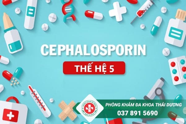 Tìm hiểu về Cephalosporin thế hệ 5